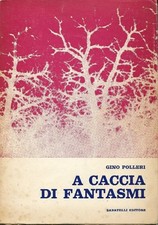 Caccia fantasmi polleri usato  Domodossola