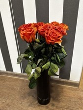 Emmie gray rosen gebraucht kaufen  Neuwied