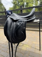 Antares cadence dressage for sale  WORCESTER
