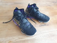 Nike lebron lakers gebraucht kaufen  Hauzenberg