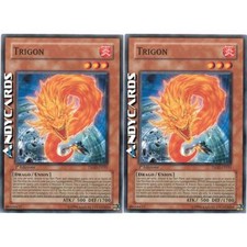 Trigon comune tshd usato  Ravenna