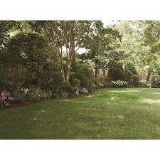 Backdrop screen balcony for sale  Boerne