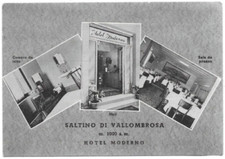Cartolina firenze saltino usato  Trieste