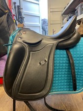 Kieffer piet dressage for sale  MONTROSE