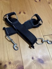 Dirzone tank bands gebraucht kaufen  Güstrow