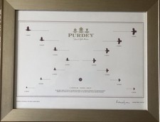 Purdey pheasant shooting for sale  LONDON