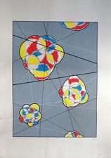Luigi veronesi serigrafia usato  Milano