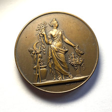 9650 médaille société d'occasion  Rillieux-la-Pape