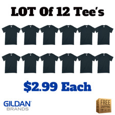 Gildan blank shirts for sale  The Colony