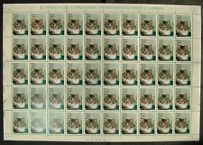 1993 italie chats d'occasion  Expédié en France