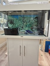 Juwel rio 125 for sale  MAIDSTONE