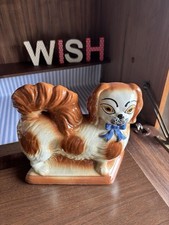 Staffordshire pekingese dog for sale  EDINBURGH