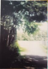 Gerhard richter sommertag for sale  New York