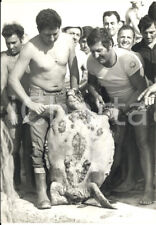1965 cervia marinai usato  Milano