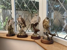 Large mounted birds for sale  BURTON-ON-TRENT