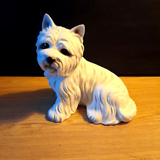 West highland terrier for sale  BISHOP AUCKLAND