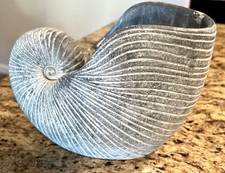 Nautilus shell planter for sale  Phoenix