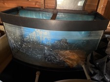 Jewel fish tank for sale  NOTTINGHAM