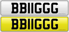 Big reg ideal for sale  CAMBRIDGE