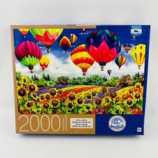 Flying colors 2000 for sale  Sioux City