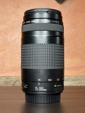 Obiettivo canon zoom usato  Domusnovas