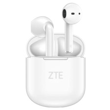 Zte buds tws usato  Roccagloriosa