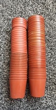 useful plant 20 pot for sale useful plant 20 pot for sale REDDITCH