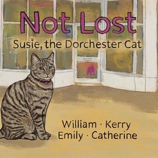 Lost susie dorchester for sale  UK