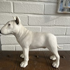 Large english bull for sale  BIRMINGHAM