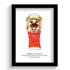 Armagh gaa ireland for sale  NEWRY