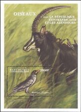 Africa centrale 2000 usato  Italia