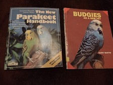 Lot pet budgie for sale  El Paso
