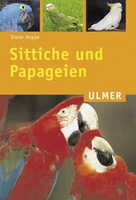 Sittiche papageien gebraucht kaufen  Berlin