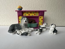 Puppy pocket family for sale  FORT WILLIAM