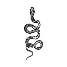 Tatuaje temporal serpiente cuello cara cobra mano brazo cuerpo arte segunda mano  Embacar hacia Mexico