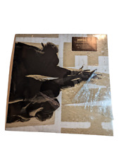 Pearl Jam Ten Vinyl Edition 180 Gram Audiophile Press No Wear Tear Front Plastic comprar usado  Enviando para Brazil