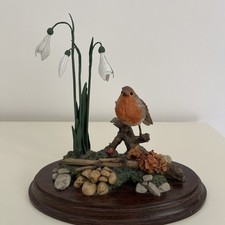 Country artist juvenile for sale  UK
