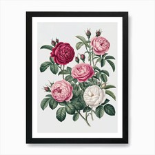 Botanical illustration various d'occasion  Expédié en Belgium