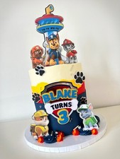 Paw patrol cake for sale  SOUTHAMPTON