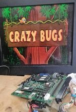 Crazy bugs igs for sale  Hialeah