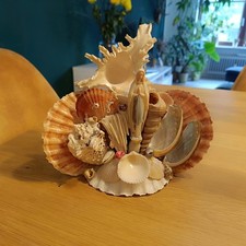 Heilige maria muscheln gebraucht kaufen  Augsburg