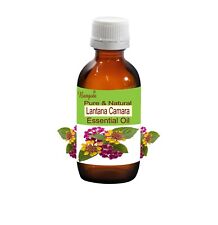 Óleo essencial natural puro Lantana Camara Lantana Camara por Bangota comprar usado  Enviando para Brazil