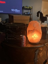 Giant natural himalayan for sale  Burke