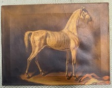 Queen elizabeth horse for sale  West Palm Beach