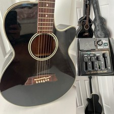 Takamine electric acoustic for sale  Winnetka