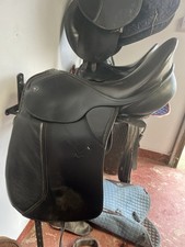 Kieffer wien dressage for sale  BANFF