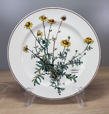 Villeroy boch botanica gebraucht kaufen  Kappel-Grafenhausen