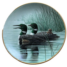 Keeping safe plate for sale  Bryceville