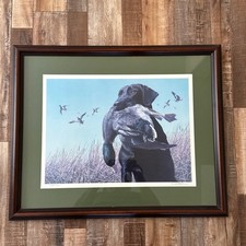 Ducks unlimited pictures for sale  Winchester