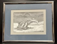 Manifestations dolphin optical for sale  Englewood